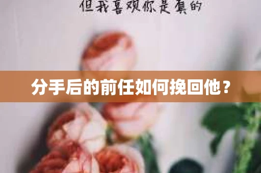 分手后的前任如何挽回他？