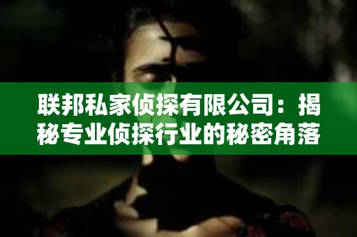 联邦私家侦探有限公司：揭秘专业侦探行业的秘密角落