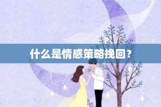 什么是情感策略挽回? 什么是情感策略挽回?