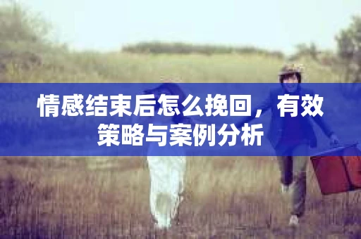 情感结束后怎么挽回，有效策略与案例分析