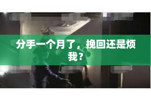分手一个月了,挽回还是烦我? 分手一个月了,挽回还是烦我?
