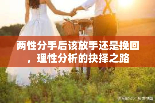 两性分手后该放手还是挽回，理性分析的抉择之路
