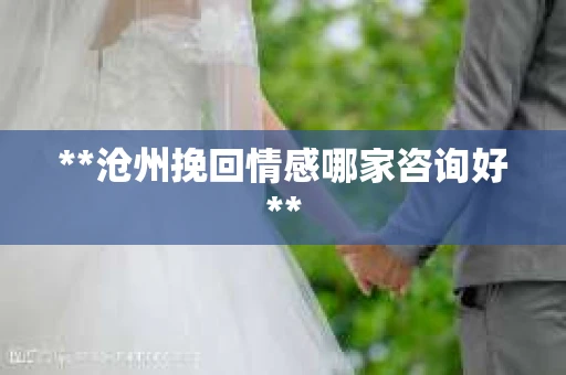 **沧州挽回情感哪家咨询好**