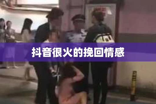 抖音很火的挽回情感