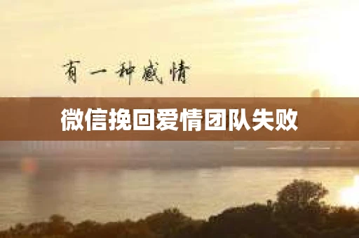 微信挽回爱情团队失败