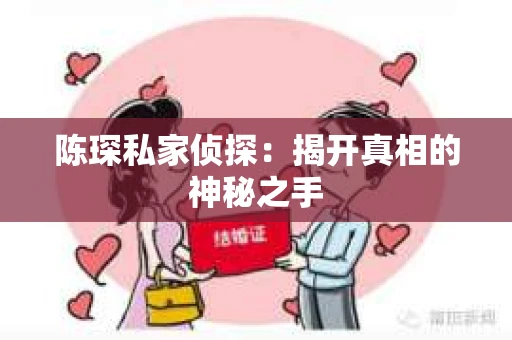 陈琛私家侦探：揭开真相的神秘之手