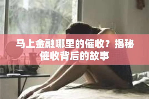马上金融哪里的催收？揭秘催收背后的故事