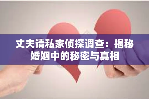 丈夫请私家侦探调查：揭秘婚姻中的秘密与真相