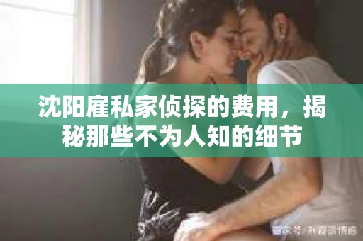 沈阳雇私家侦探的费用，揭秘那些不为人知的细节