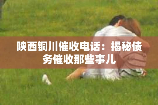 陕西铜川催收电话：揭秘债务催收那些事儿
