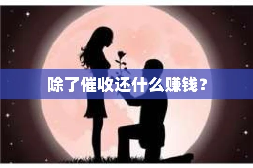 除了催收还什么赚钱？