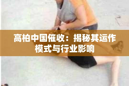 高柏中国催收：揭秘其运作模式与行业影响