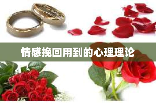 情感挽回用到的心理理论