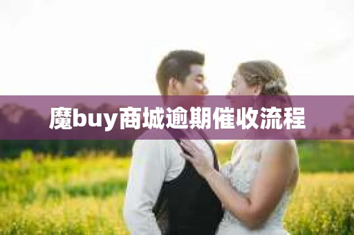 魔buy商城逾期催收流程