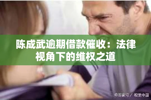 陈成武逾期借款催收：法律视角下的维权之道