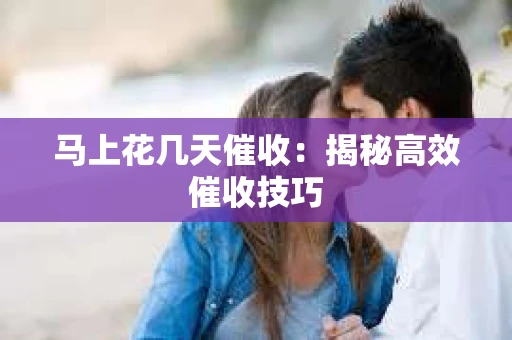马上花几天催收：揭秘高效催收技巧