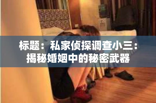 标题：私家侦探调查小三：揭秘婚姻中的秘密武器