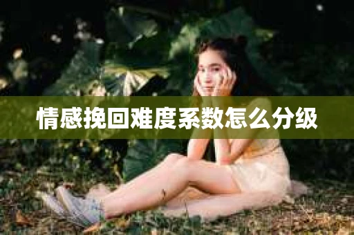 情感挽回难度系数怎么分级