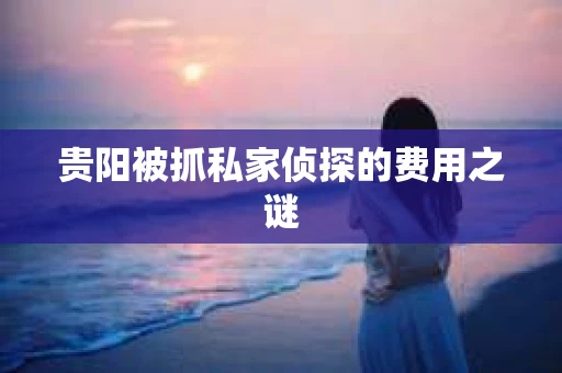贵阳被抓私家侦探的费用之谜