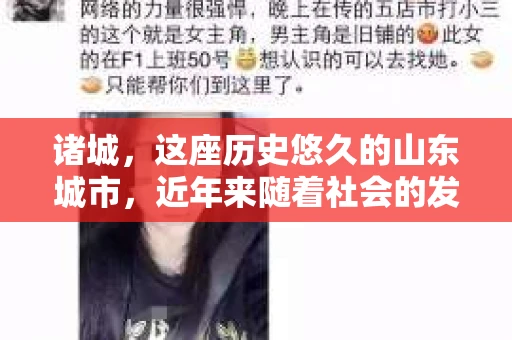 诸城，这座历史悠久的山东城市，近年来随着社会的发展，人们的生活节奏加快，对于私家侦探的需求也逐渐增多。那么，诸城有没有私家侦探呢？今天，我们就来聊聊这个话题。
