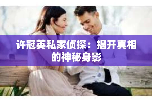 许冠英私家侦探：揭开真相的神秘身影