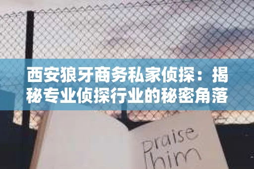 西安狼牙商务私家侦探：揭秘专业侦探行业的秘密角落