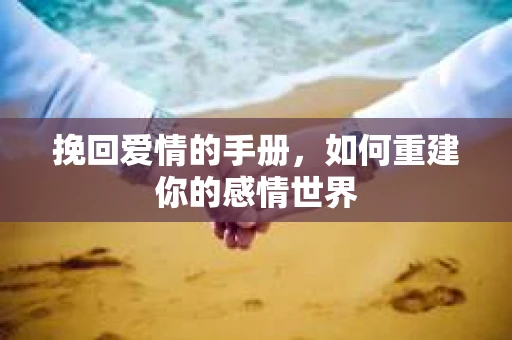 挽回爱情的手册，如何重建你的感情世界
