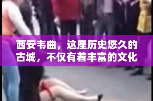 西安韦曲，这座历史悠久的古城，不仅有着丰富的文化遗产，也有着现代都市的繁华。那么，问题来了——西安韦曲有没有私家侦探呢？这个问题，让我带你一探究竟。