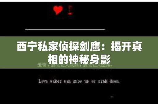 西宁私家侦探剑鹰：揭开真相的神秘身影