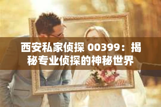 西安私家侦探 00399：揭秘专业侦探的神秘世界