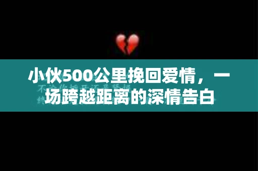 小伙500公里挽回爱情，一场跨越距离的深情告白