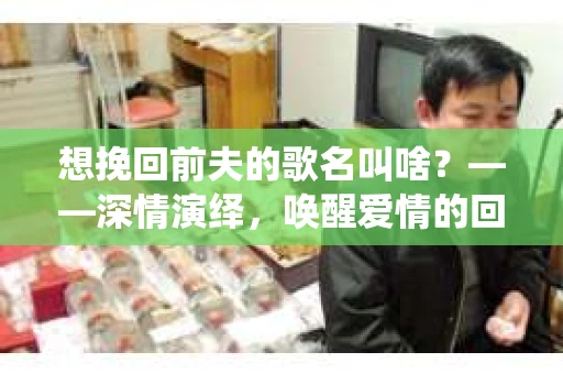 想挽回前夫的歌名叫啥？——深情演绎，唤醒爱情的回响