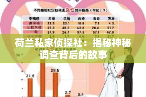 荷兰私家侦探社：揭秘神秘调查背后的故事