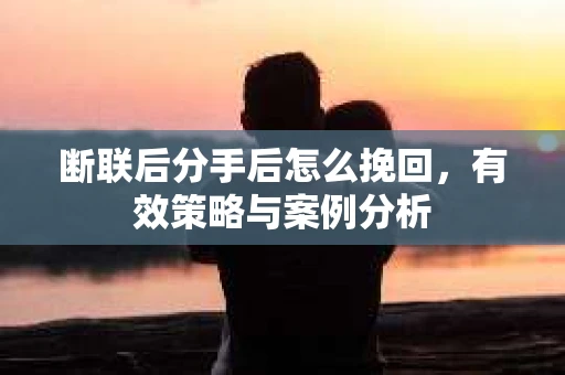 断联后分手后怎么挽回，有效策略与案例分析